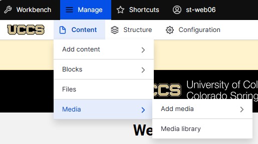 Drupal editing page showing content selected, and the Media button highlighted