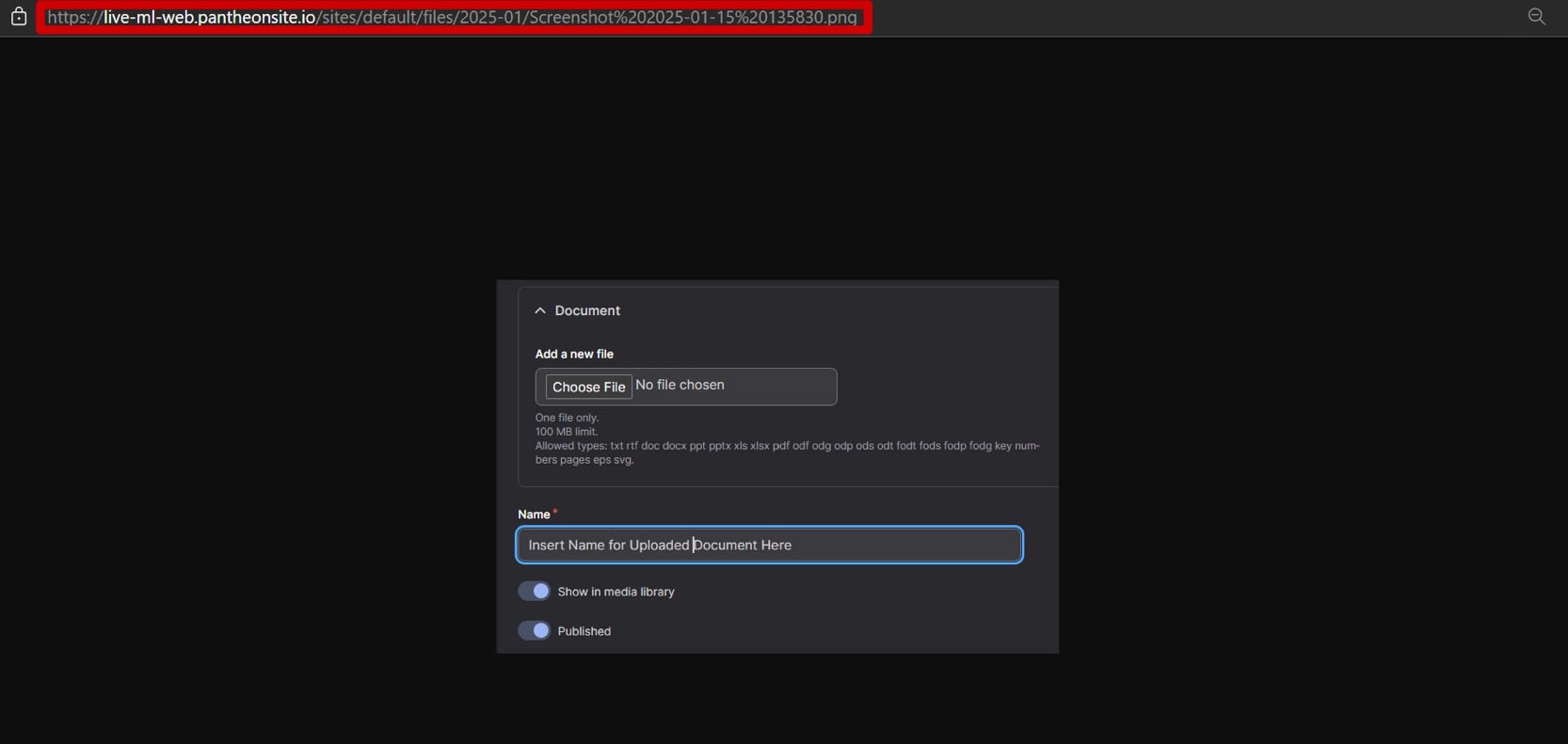 Screenshot of Pop-out Media Page with URL Surround by a Red Rectangle