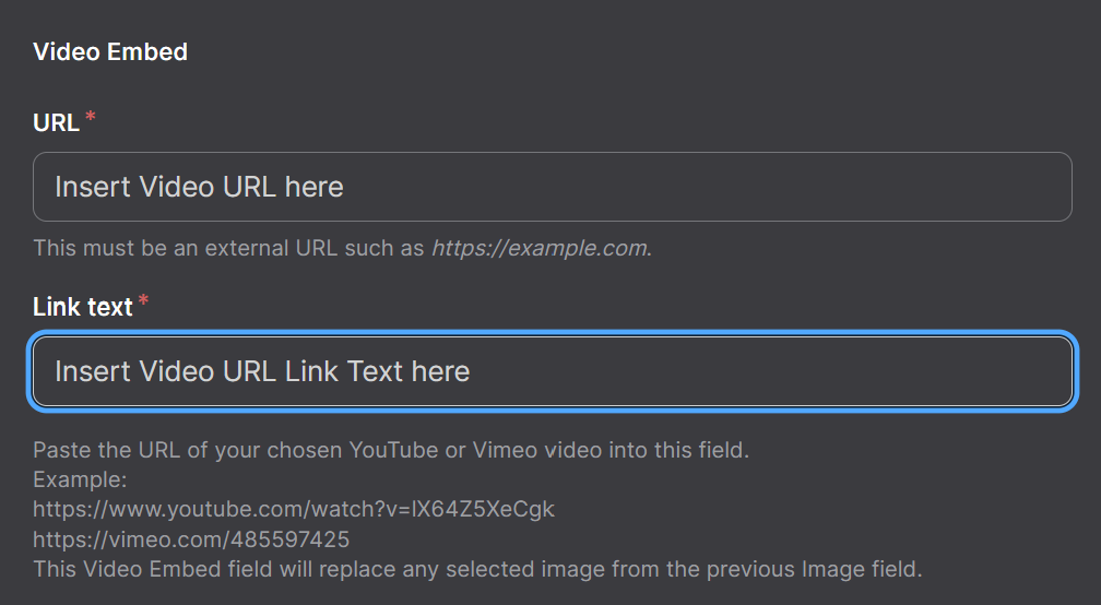 Screenshot of Video URL and Link Text Options
