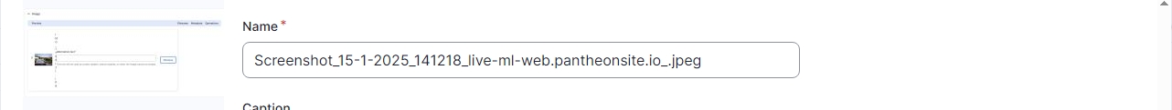 Drupal Editing screen showing the Name text box for an image 