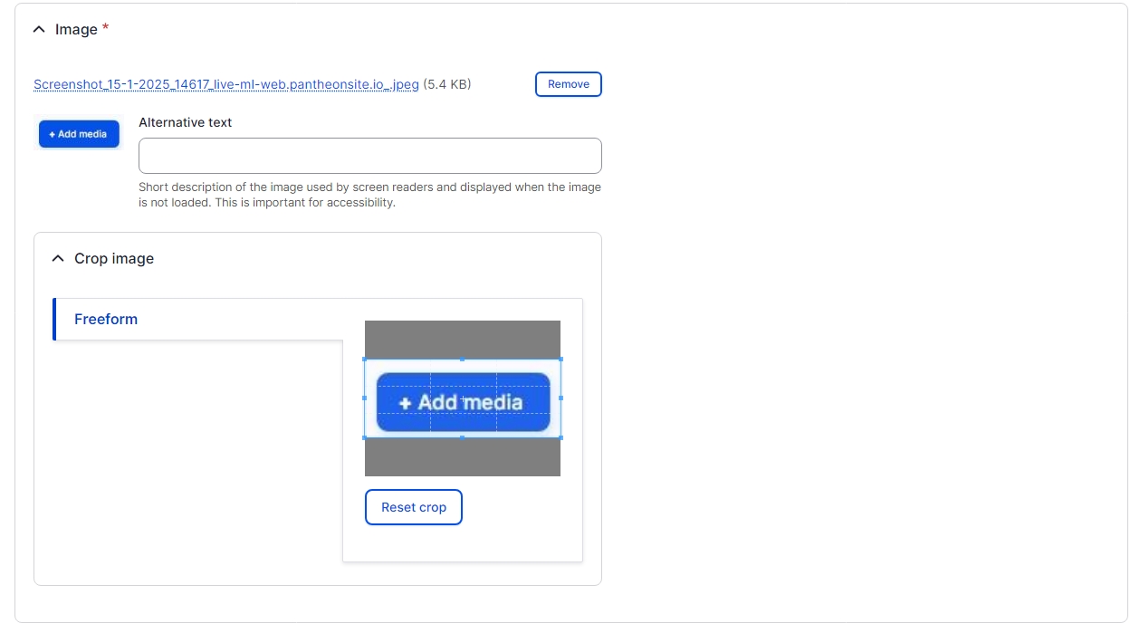 Add image page showing the selected image with an alternative text box and a crop image section 