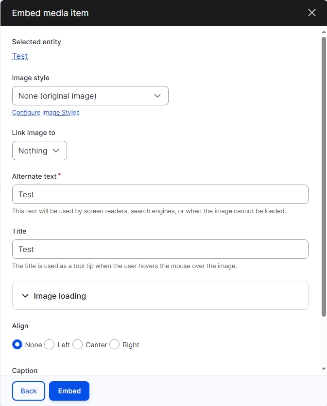 Embed media item page with image settings 