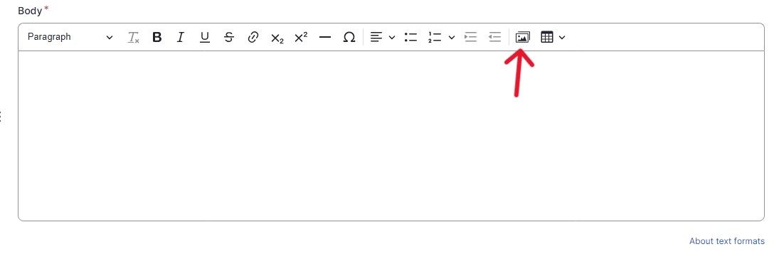 List Item editing screen showing the body text section with a red arrow pointed to the image icon 
