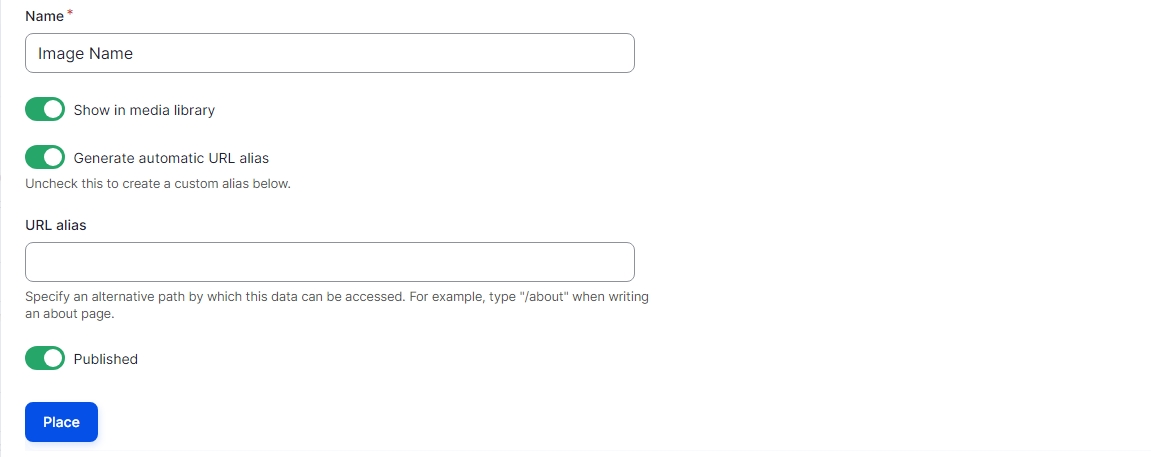 Image editing screen showing the Name text box and Place button 
