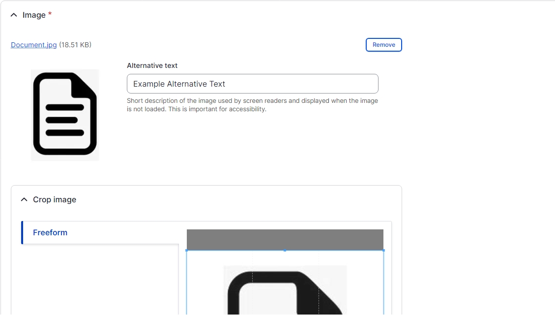 Image editing screen showing the Alternative text box and crop image section 