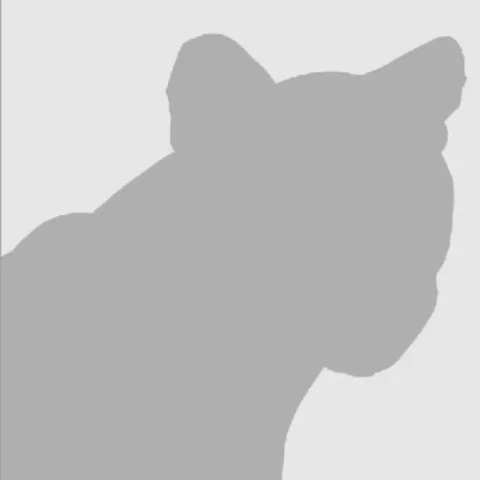 Mountain lion outline