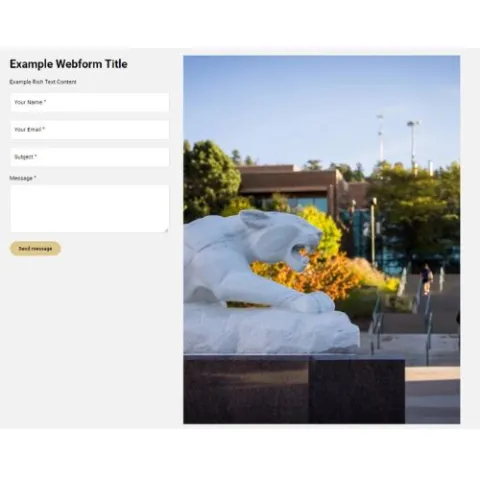Example Webform - Longform  with example text and image 