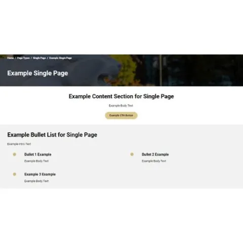 Example of a Single Page 