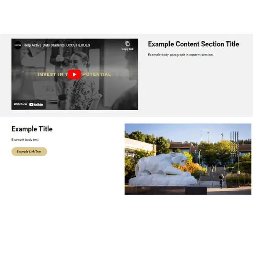 Example of two content section rows with an example video and example text in the sections