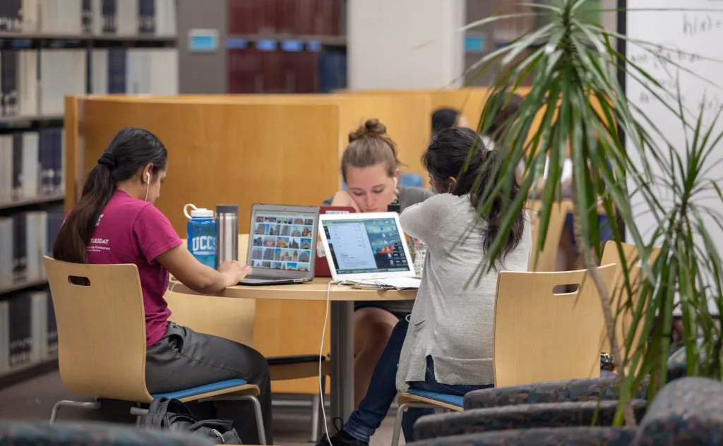 Students sitting on their computers in the library 